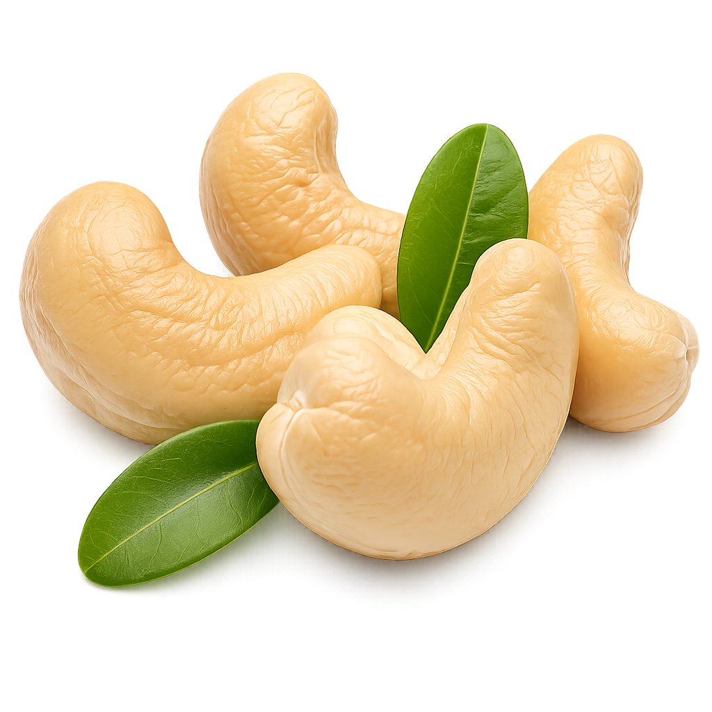 Premium Whole Cashews (W320) - Front View